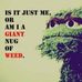 Randy Kite - Facebook