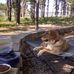 Randy Kline - Facebook