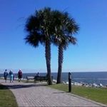 Randy Knapp - @randoknapp - Instagram