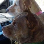 Randy Knepper - @randy7496 - Instagram