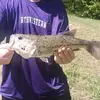 randyknowles23 - @randyknowles42 - TikTok
