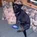 Randy Kolstad - Facebook