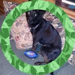 Randy Kolstad - Facebook