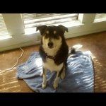 Randy Kopplin - @kopplin - Instagram