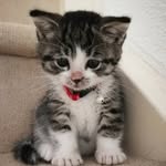 Randy.E. Kornegay - @randy.e.kornegay - Instagram