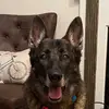 Krajewski62 - @krajewski62 - TikTok