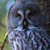 Randall Krajewski - Facebook