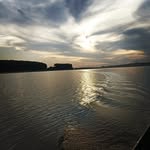 Randy Krause peters - @randykrauseperters - Instagram