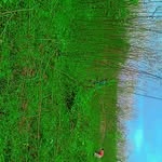 Randy Kumar - @randykumar582 - Instagram