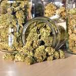 Randy Wanes Kush - @randywane_kush_ - Instagram