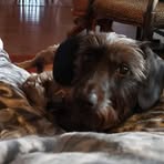 Rhonda Laffoon - Facebook