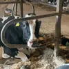 Randy Laird - @randy.laird1 - TikTok