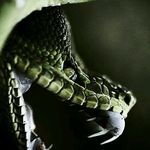 Randy Lambeth - @randy.lambeth.581 - Instagram