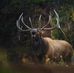 Randy Larkin - Facebook