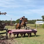 Randy Lander - @rclequestrian - Instagram