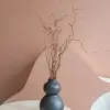 Randy Laughli - @randylaughlin7447 - TikTok