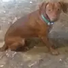 randylaughlin491 - @randylaughlin491 - TikTok