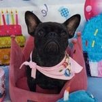 Randy Leavitt - @randallleavitt - Instagram