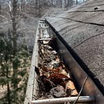 Gouttière Randy Leclair - @randy.leclair - Instagram