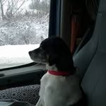 Randy Leffingwell - @randyleffingwell - Instagram