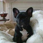 Randy Leroy McLean - @randyleroymclean - Instagram