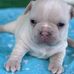 Randy Lewandowski - Facebook