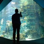 RandyLew - @randylew - Instagram