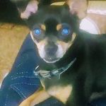Randy Light - @lightrandy - Instagram