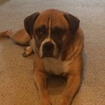 Randy Lindstrom - @randy.lindstrom - Instagram