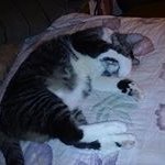Randy Lipp - @randylipp - Instagram
