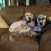 Randy Loggins - Facebook
