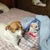 Randy Loggins - Facebook