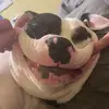 randyloggins556 - @randyloggins556 - TikTok