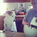 Randy Looper - Facebook