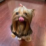 Randy Louks - @randylouks - Instagram