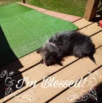 Randy Lowers - Facebook