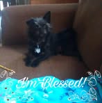 Randy Lowers - Facebook