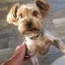 Randy Luce - Facebook