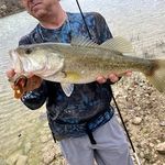 Randy lutz - @randylutz48 - Instagram