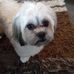 Randy Lutz - Facebook