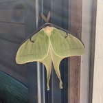 Randy Mabry - @randy.mabry - Instagram