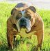 Randy Mac - Facebook