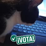 Randy Machado - Facebook