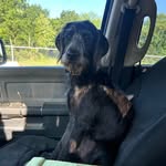 Randy Mack - @randymack43 - Instagram