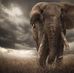 Randy Mack - Facebook