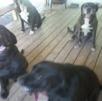 Randy Macomber - Facebook