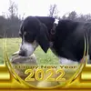 Randy Mellott - @randymellott - TikTok