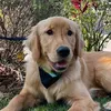 Randy_Marcuson - @randy_marcuson - TikTok