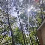 Randy Manes - @randy15883 - Instagram