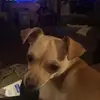 randymansell811 - @randymansell811 - TikTok